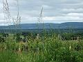 2010-05- (73)